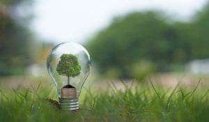 How to Reduce Your Electric Bill_ Energy-Efficient Tips