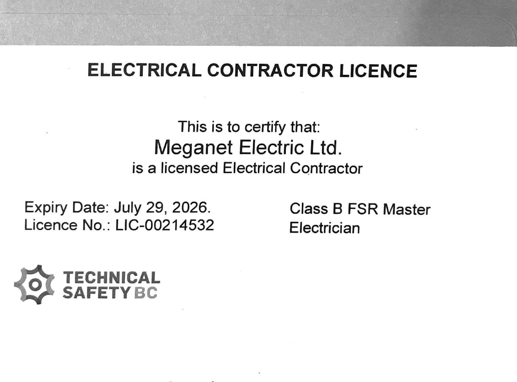 Meganet Electric photo 1